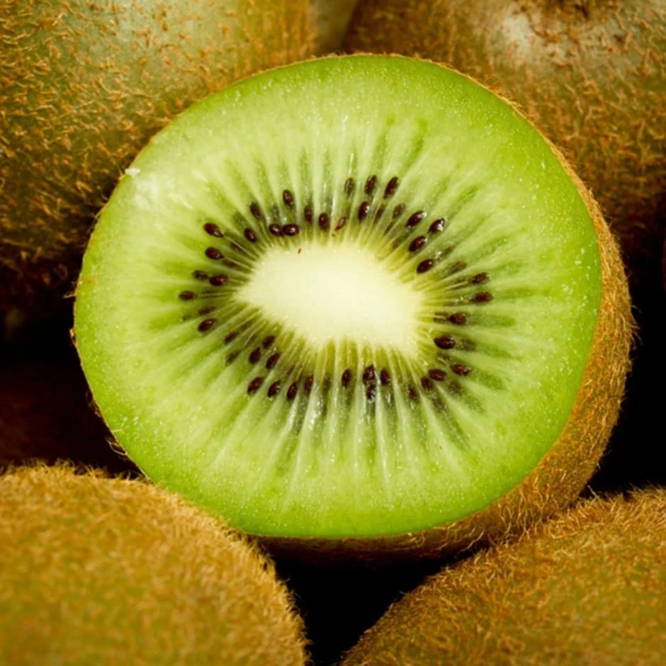 Kiwi Fruit 'Jenny' 3 Kiwi Fruit 'Jenny'