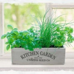 Kitchen Herb Garden Kit