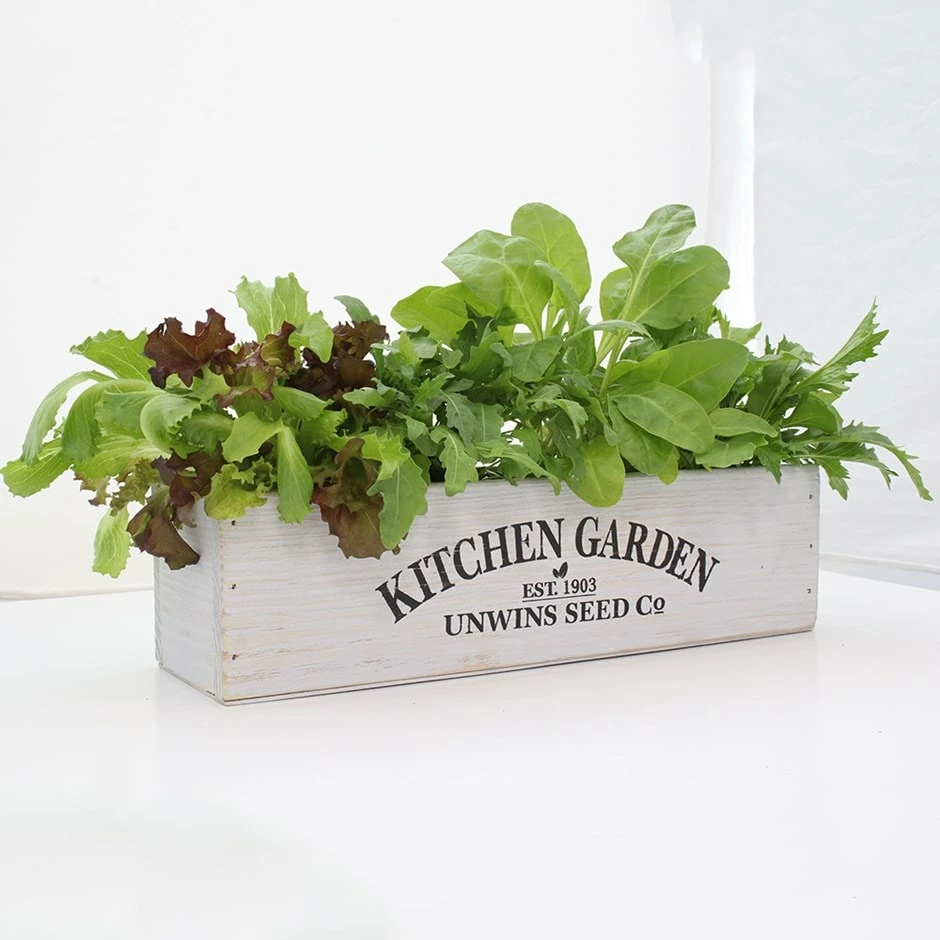 Kitchen Salad Garden Kit 3 Kitchen Salad Garden Kit
