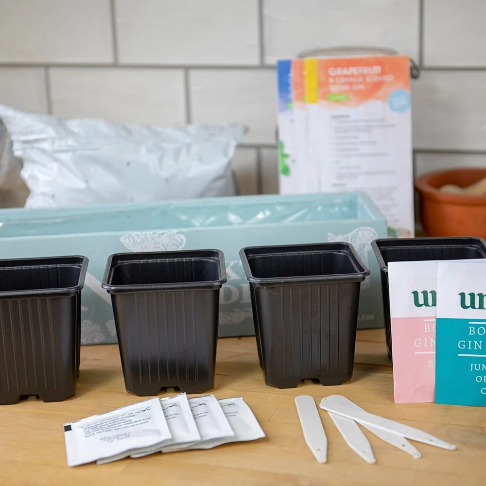 Gin Cocktail Herb Garden Kit 6 Gin Cocktail Herb Garden Kit - Image 4