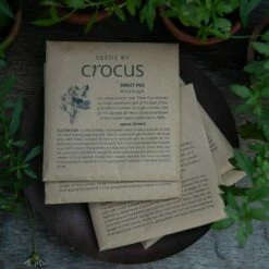 Heritage Sweet Pea Seed Gift Box -plant store pl2000024349 card3 lg