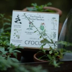 Herbal Teas Seed Gift Box
