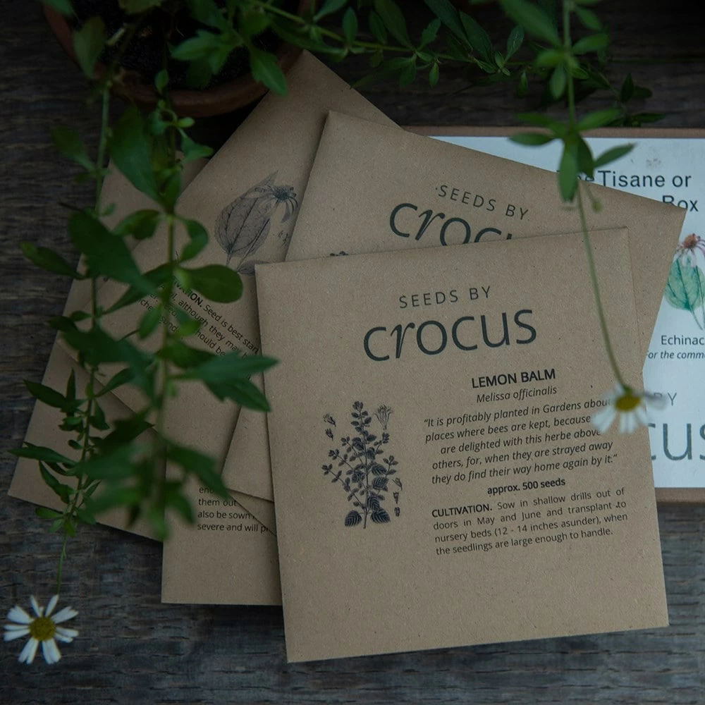 Herbal Teas Seed Gift Box 4 Herbal Teas Seed Gift Box - Image 2