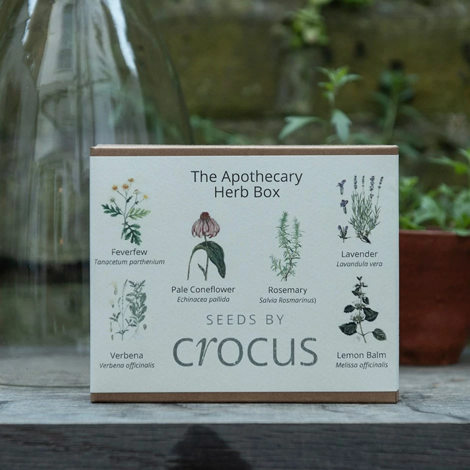 Apothecary Herbs Seed Gift Box 3 Apothecary Herbs Seed Gift Box