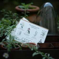 Apothecary Herbs Seed Gift Box 7 Apothecary Herbs Seed Gift Box -plant store pl2000024987 card3 lg