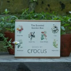 The Scented Garden Seed Gift Box
