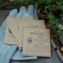 The Scented Garden Seed Gift Box 7 The Scented Garden Seed Gift Box -plant store pl2000024988 card3 lg