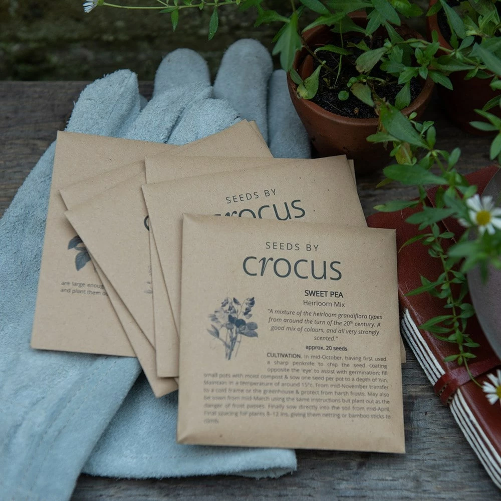 The Scented Garden Seed Gift Box 5 The Scented Garden Seed Gift Box - Image 3