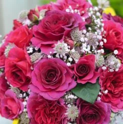 Rosa Timeless Purple ('Noa38121') (PBR) 8 Rosa Timeless Purple ('Noa38121') (PBR) -plant store pl2000036975 card3 lg