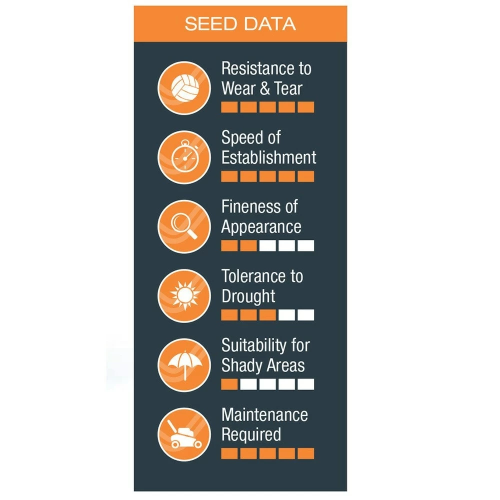 Johnsons Tuffgrass Lawn Seed 4 Johnsons Tuffgrass Lawn Seed - Image 2