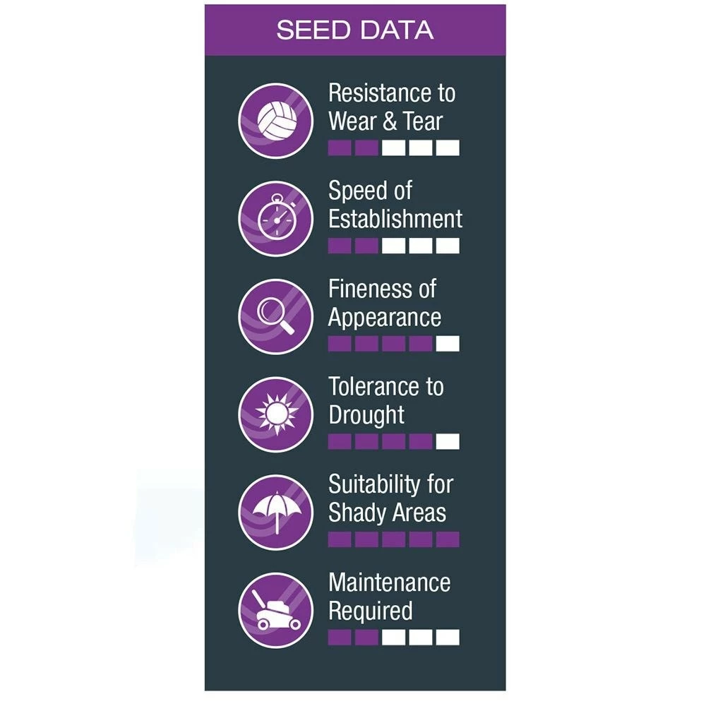 Johnsons Shady Lawn Seed 4 Johnsons Shady Lawn Seed - Image 2