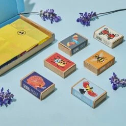 Seedballs Wildlife Collection -plant store pl2000043179 card4 lg