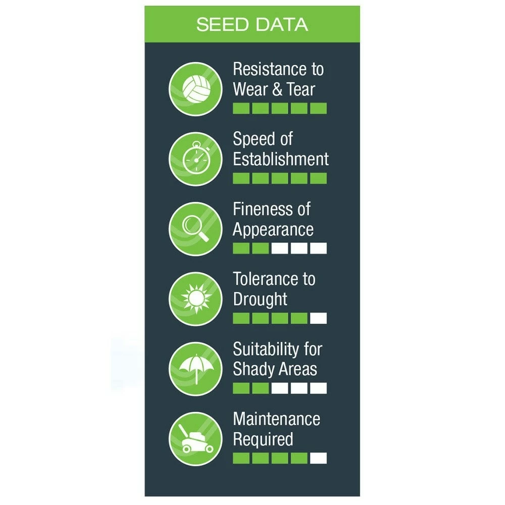 Johnsons Quick Fix Lawn Seed 5 Johnsons Quick Fix Lawn Seed - Image 3