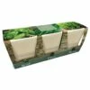 Ceramic Windowsill Herb Gift Set 2 Ceramic Windowsill Herb Gift Set -plant store pl2000045606