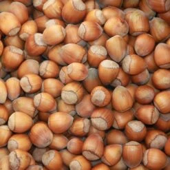 Cobnut 'Purple Filbert' 5 Cobnut 'Purple Filbert' -plant store pl2000047695 card2 lg