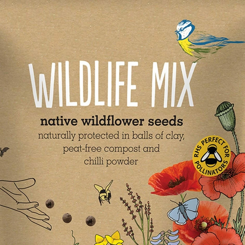 Seedballs Native Wildflowers For Wildlife 3 Seedballs Native Wildflowers For Wildlife