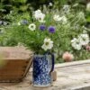Blue And White 'cutting Garden Collection' -plant store pl2000049179