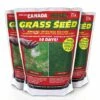 Canada Green Lawn Seed 2 Canada Green Lawn Seed -plant store pr2000005250