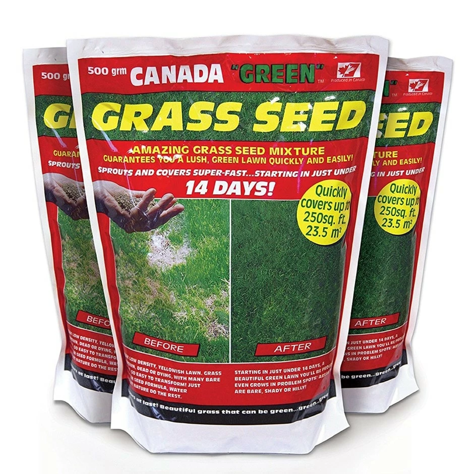 Canada Green Lawn Seed 3 Canada Green Lawn Seed